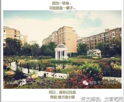 原谅容易，再信任却很难