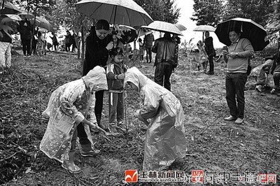 有关古定一的名句