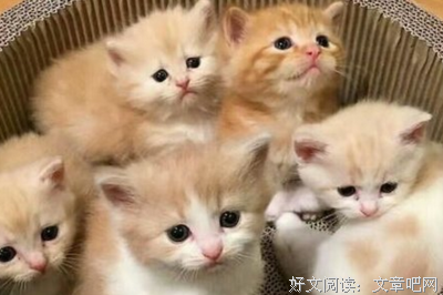 有关李定一15句经典名言