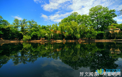 最经典的草薙龙瞬的名言名句