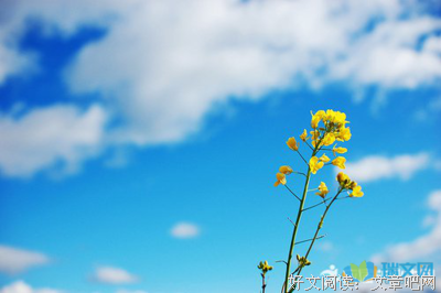 2018格雷厄姆·格周名言警句