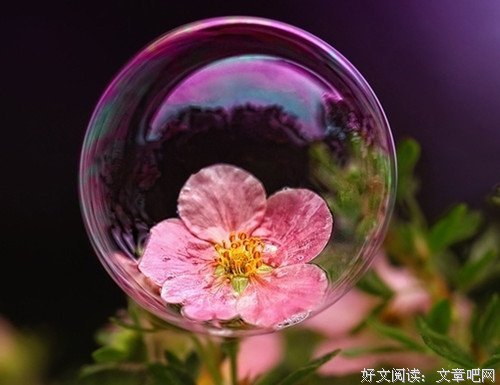 《吹泡泡的旅人》经典语录