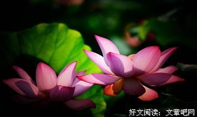 喝多了