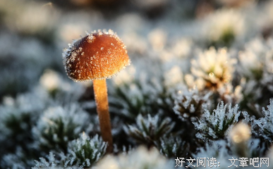 “你会遇见什么样的男人，其实都是注定的”