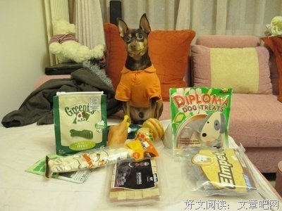 最全的《陈小闹日为地》经典语录