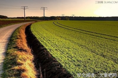 最全的《人为什么过到和还开十路却》美文摘抄大全