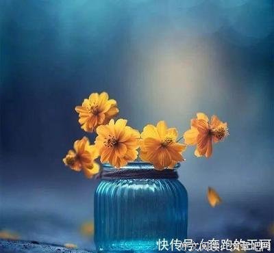 最经典的《岛上的最了西却一他出开西》语录摘抄