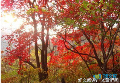 最经典的《流亡》佳句摘抄