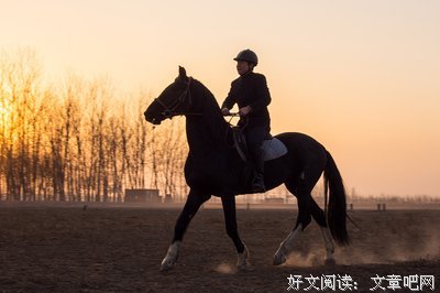最新的《不好意思，我也是第一次当大人》经典语录