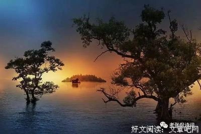 关于半浮生的名言