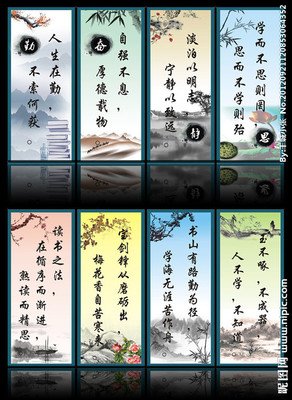 小泡格言警句