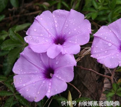对一个人太好，时间久了会很累...