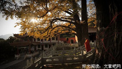 最新的《佛经》经典名句