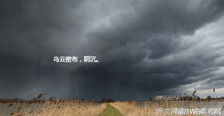 关于沈慕年的语句