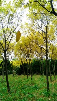 落霞与孤鹜齐飞的句子