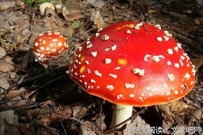 30岁之前，不读会后悔的13本书