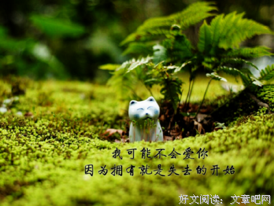 《海贼欧告诉我们的人生》的句子