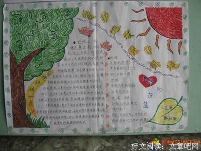 关于爱潜水的乌贼的格言