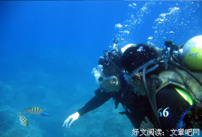 最全的爱潜水的乌贼的名句