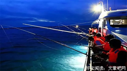 有关爱潜水的乌贼名言