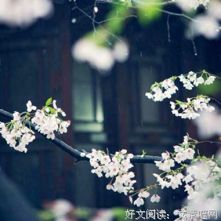 卫淇名言