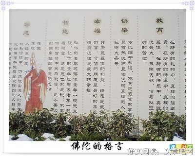 有关佛陀的名言