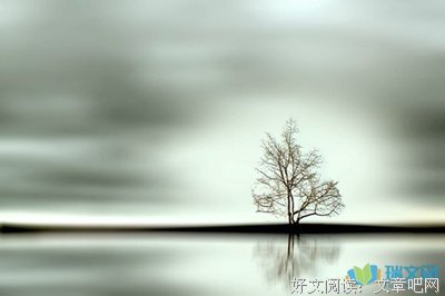 最全的《圆舞》小说句子