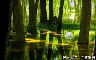 最全的《天道》经典名句大全