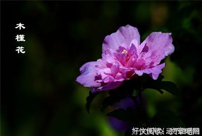最经典的《火车》经典句子