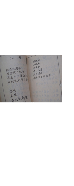 《秘密》小说句子