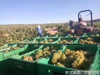 念琪 | 红月亮