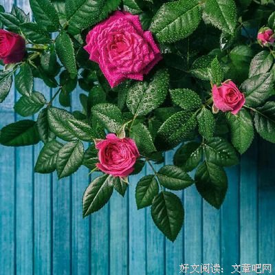 关于小遥的语句