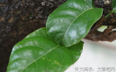 真正的朋友，必定交心