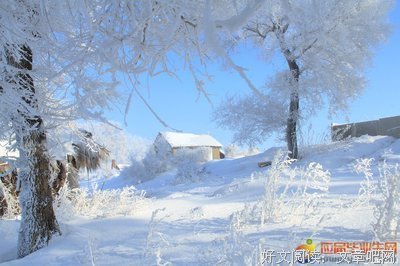 校园.的优美句子