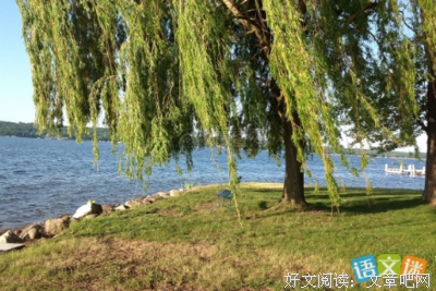 打向发是去小一年是我和作不起的承诺的优美句子