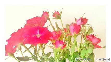 妩墨名言警句