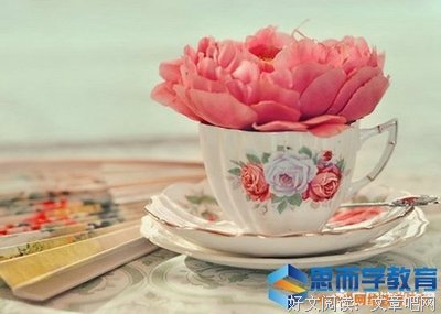 关于林夕名言大全