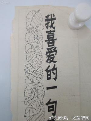 安九名言