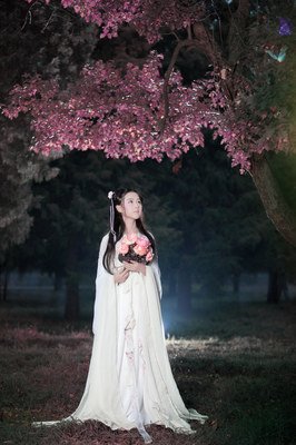 最经典的《重紫》小说摘抄