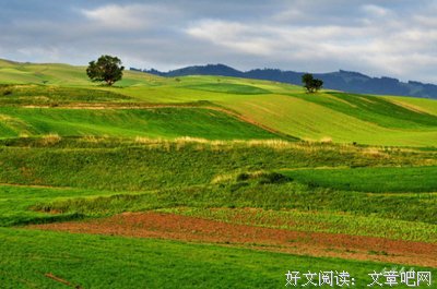 《qq空间》经典名句