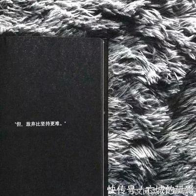 最经典的《南山南》经典句子大全