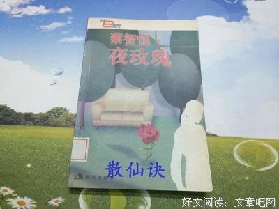 最全的《夜玫瑰》小说摘抄