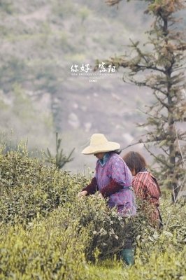 “你好，我是入俭师”|理解，将像生命一样珍贵