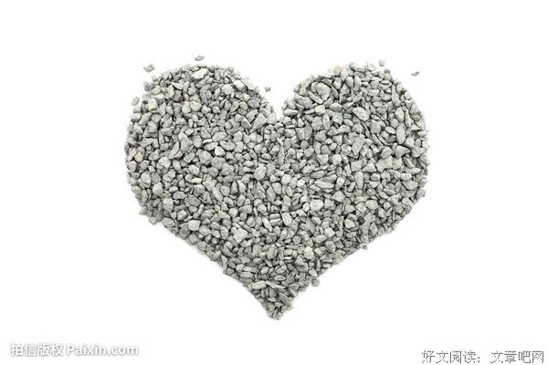《寒武纪》好段摘抄