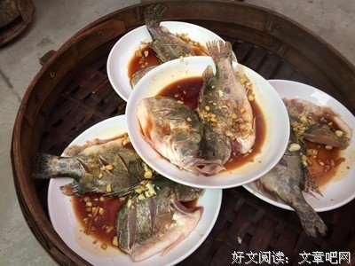 最经典的《少年游》经典名句大全