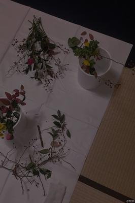 《五花八门》的句子