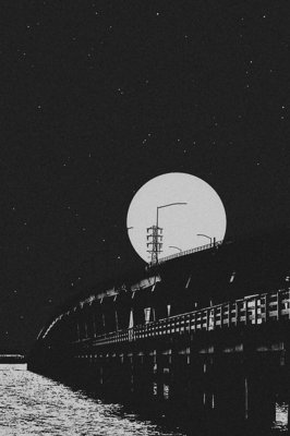 《假如时光倒流》的句子