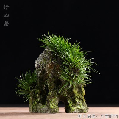 2018菖蒲精彩语录