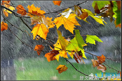 最经典的《玉楼春》经典句子大全