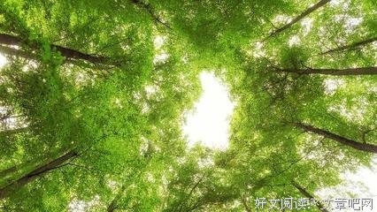 最全的《眉间雪》经典语录大全